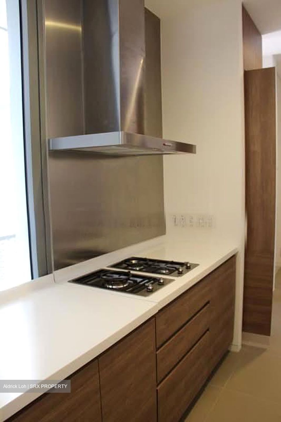 Leedon Residence (D10), Condominium #585263571